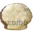 capiz shell clam shaped Gift / Decor Set