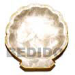 noble scallop small with Gift / Decor Set