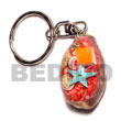 cowrie shells with laminated seashells keychain