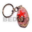 cowrie shells with laminated seashells keychain