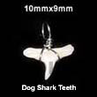Natural dog shark teeth pendant Bone Horn Pendant Bone Pendants