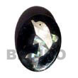 Natural inlayed paua dolphin design Brooch Brooch