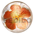 Natural round 40mm hammershell w/ Hand Painted Pendant Hand Painted Pendant