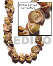 Natural Everlasting Luhuanus Shell Beads Shell Beads