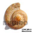 Natural cone melo pendant Shell Pendant Shell Pendant