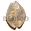 Natural 30mm hammershell sigay/cowrie carving Shell Pendant Shell Pendant