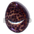 tiger cowrie  oval Shell Pendant