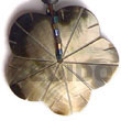 black lip scallop w/ Shell Pendant
