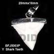 y shark teeth pendant Bone Horn Pendant